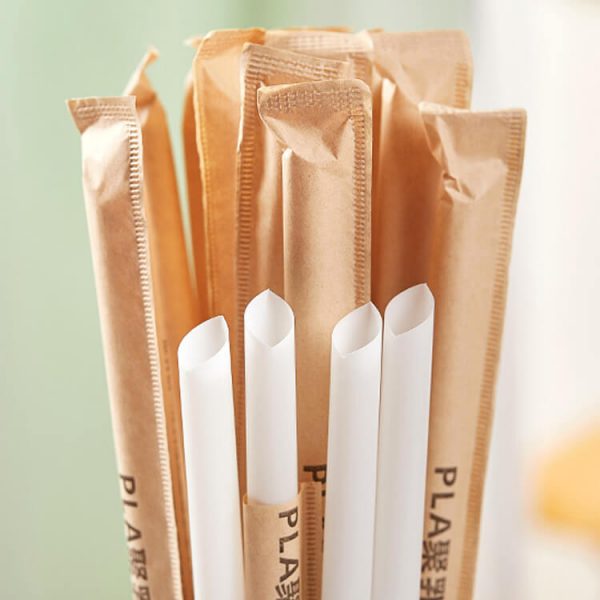 9inch with 6mmCompostable PLA Straws